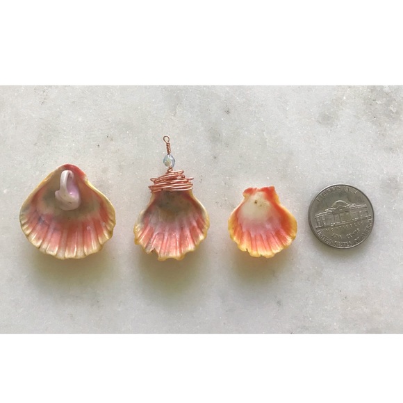 Meet your Posher, Beth - Picture 3 of 5